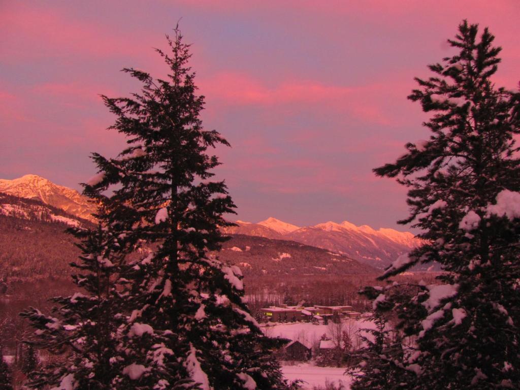 Greenwood Country Inn Pemberton Rum bild